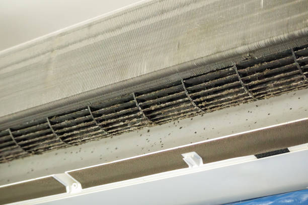 Best Best Air Duct Cleaning Company  in Apollo, PA